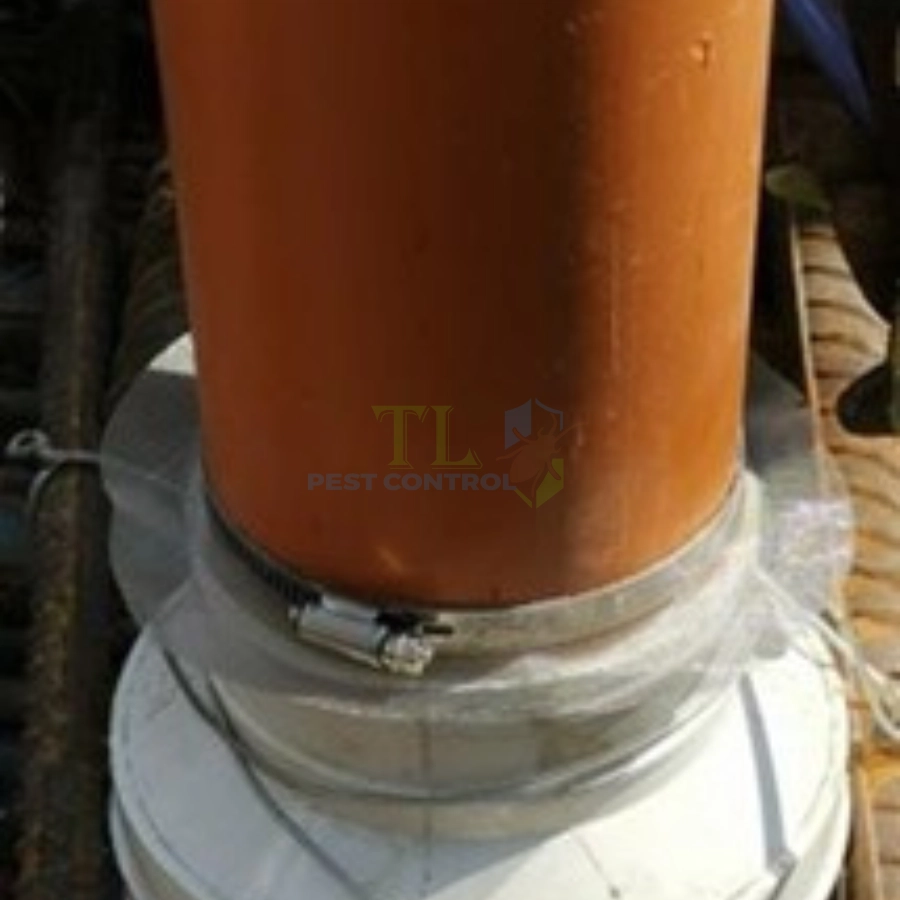 Phòng chống mối cho ống kỹ thuật xuyên sàn