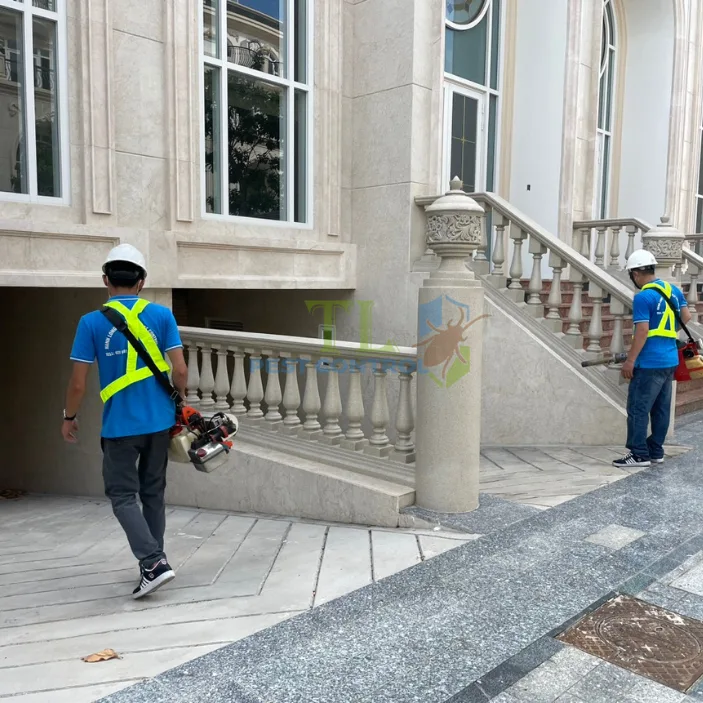 Diệt muỗi tại quận 12