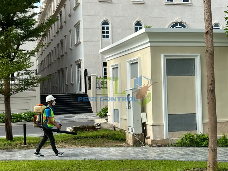 Tham khảo thêm các dịch vụ diệt mối Trần Long lân cận