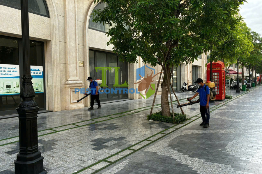 Diệt mối phường Bình Thới