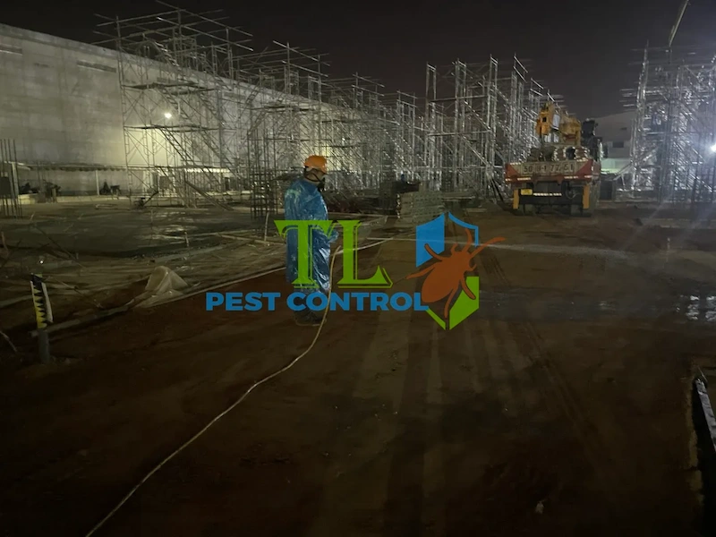 công ty diệt mối gò vấp