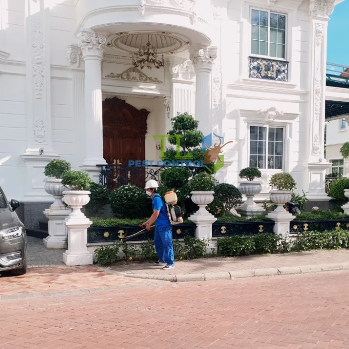 Giá Diệt Mối Cho Resort, Villa