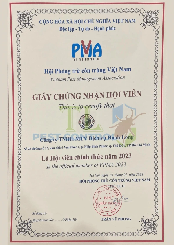 Dịch vụ diệt rầy
