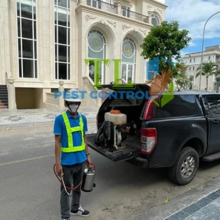 Dịch Vụ Diệt Mối Thủ Đức Uy Tín, Tận Gốc, Giá Rẻ
