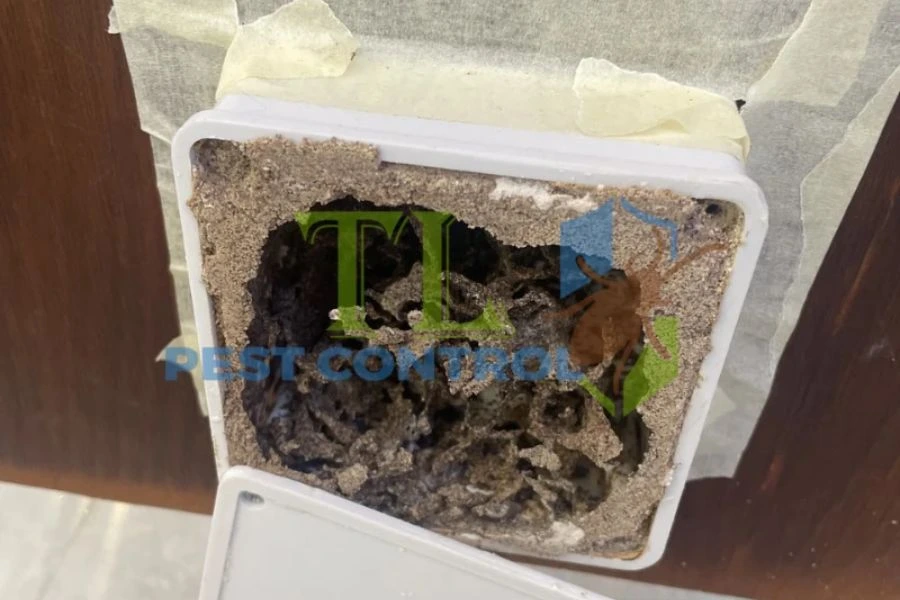 kiểm soát côn trùng