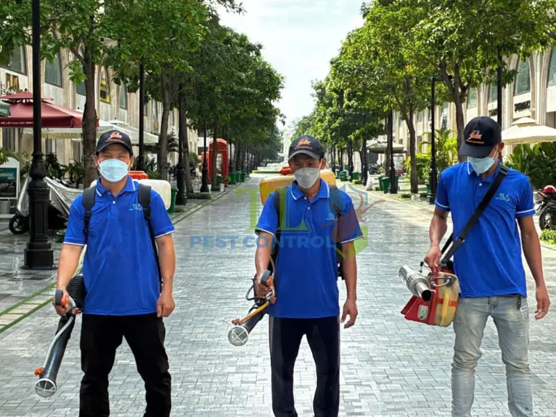 Diệt Mối Trần Long tự hào là địa chỉ hàng đầu mang đến giải pháp diệt mối tận gốc quận 7 uy tín