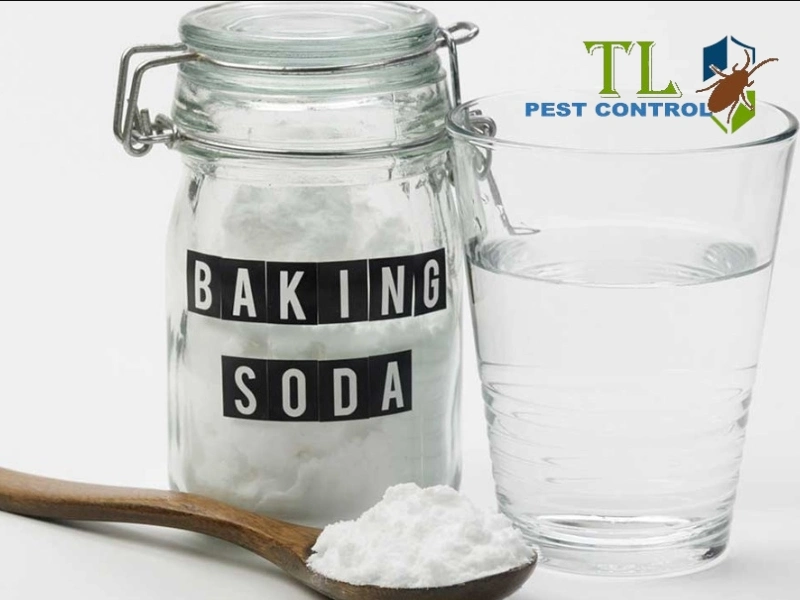 diệt gián bằng baking soda