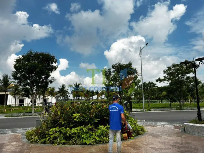 Phun thuốc diệt muỗi bao lâu một lần