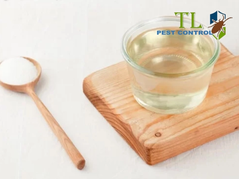 cách diệt gián trong xe ô tô