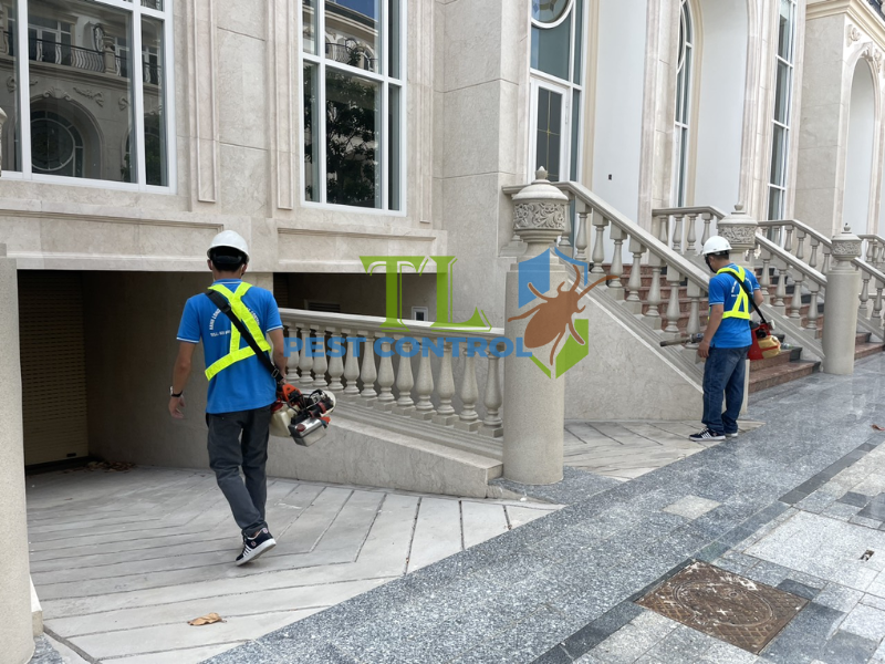  Thông tin liên hệ và cam kết chất lượng dịch vụ diệt mối Trần Long