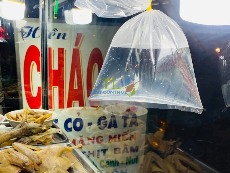 treo bịch nước đuổi ruồi