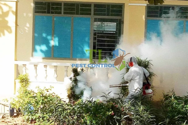 diệt muỗi quận tân bình