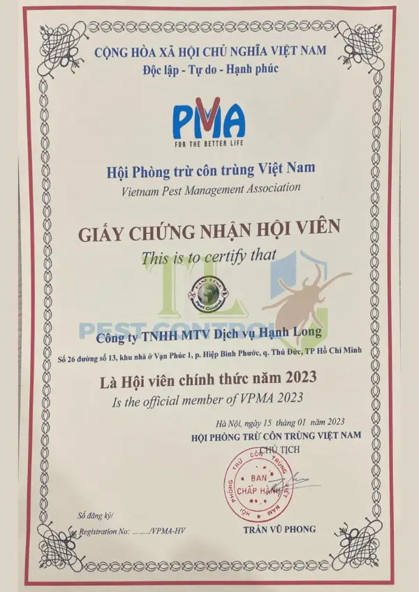 Dịch vụ diệt chuột
