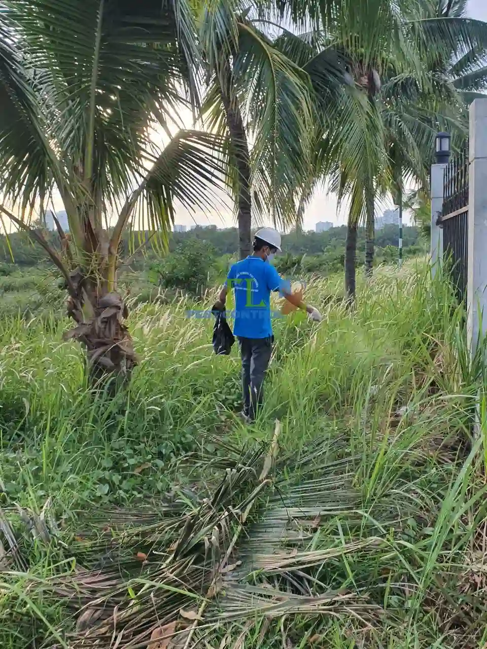 dịch vụ diệt mối quận 3