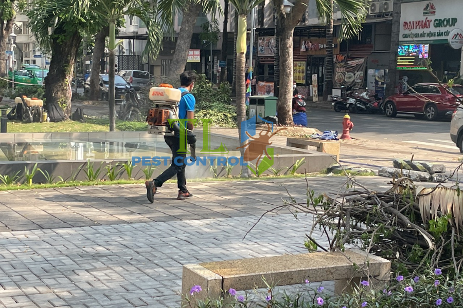 Diệt mối phường Bàn Cờ