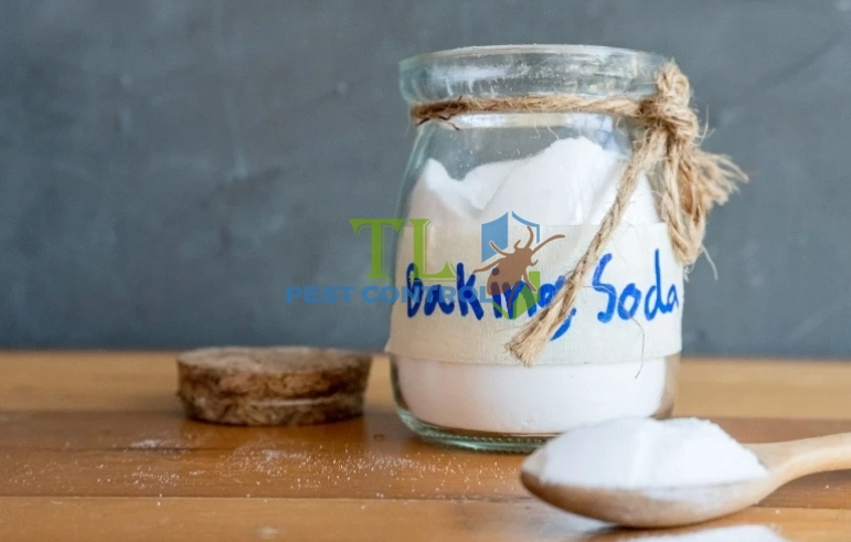 cách diệt rệp giường