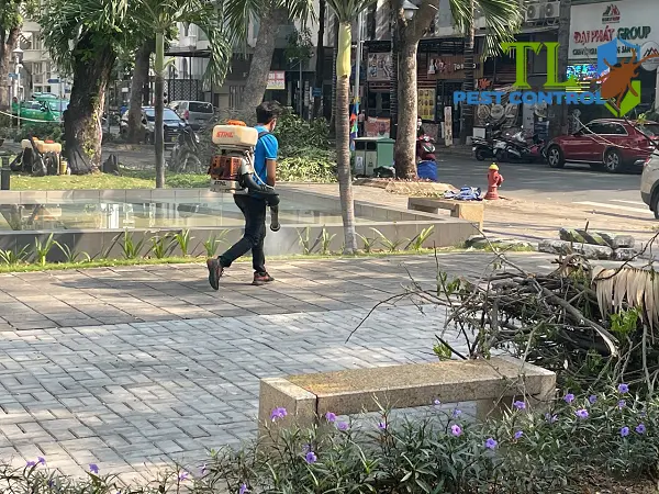 dịch vụ diệt muỗi