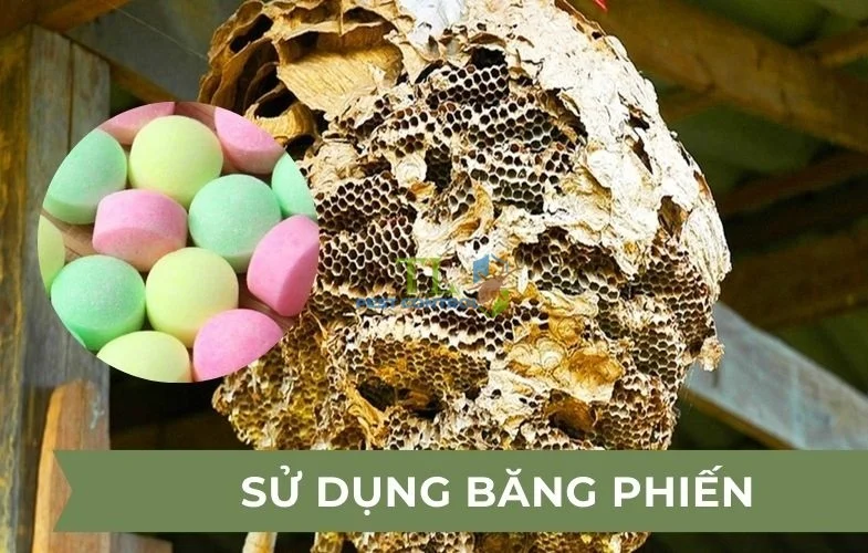 cách đuổi ong vàng ra khỏi nhà