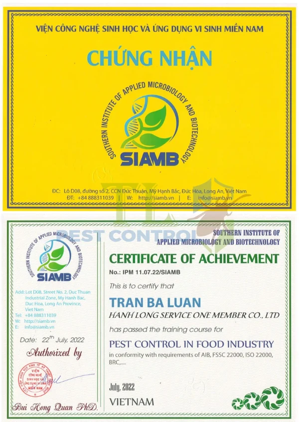 Dịch vụ diệt ve chó