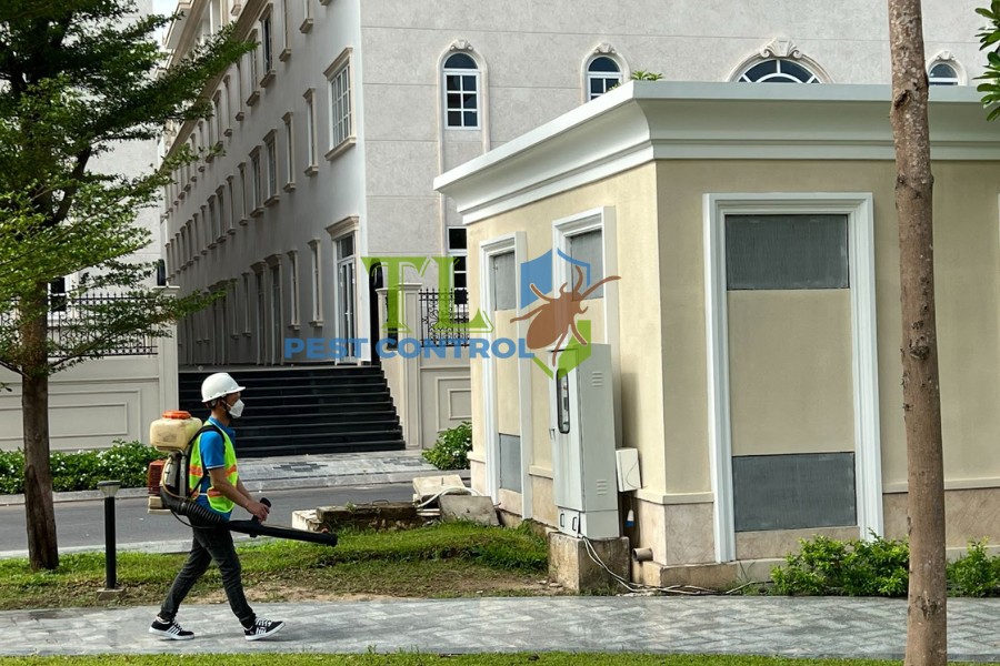 Diệt mối phường An Đông