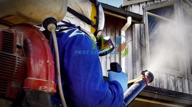 dịch vụ diệt mối quận gò vấp