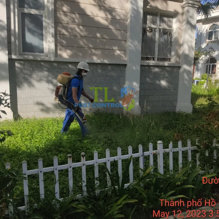 Diệt mối quận 10