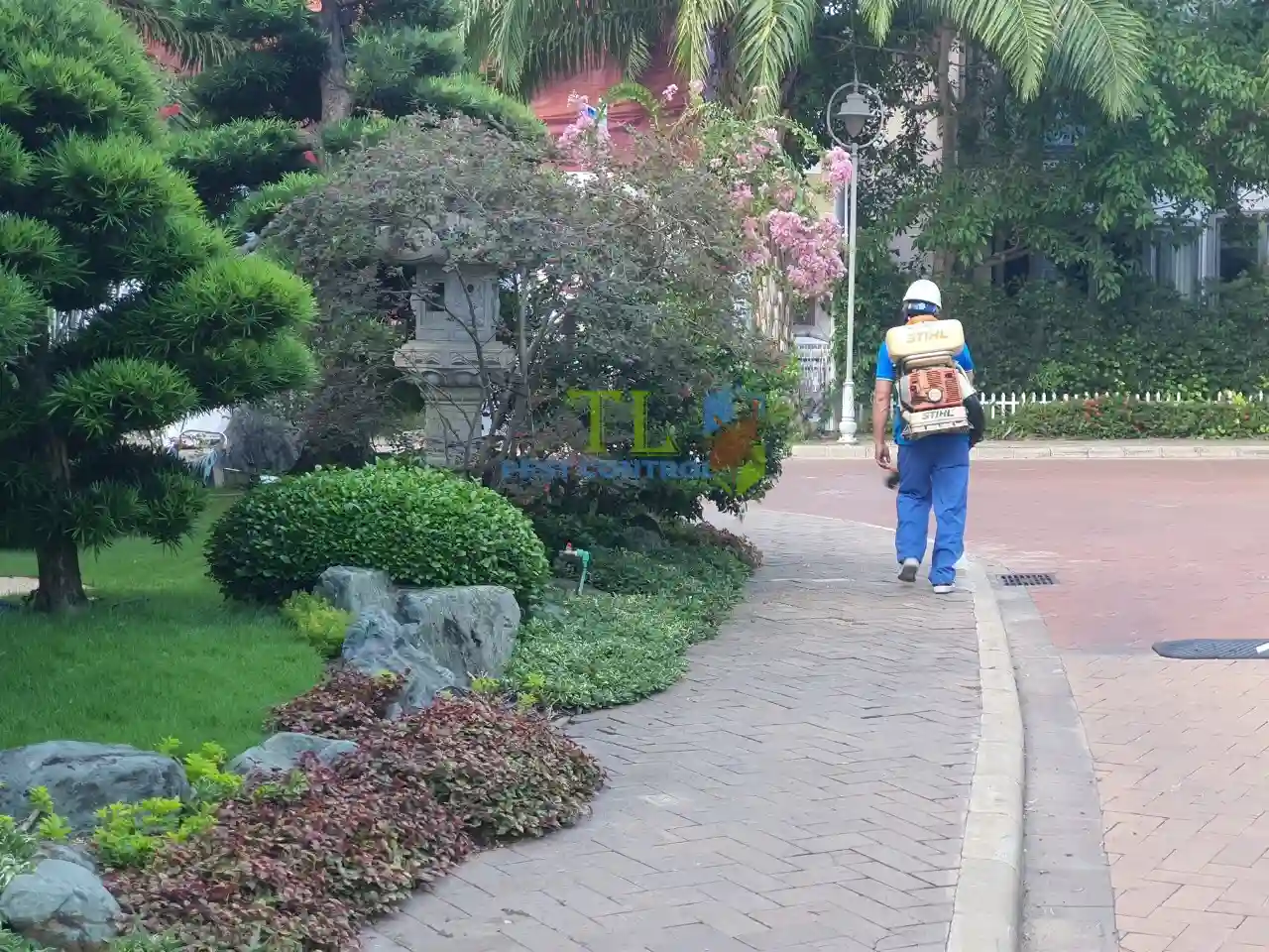 diệt mối tại quận 6