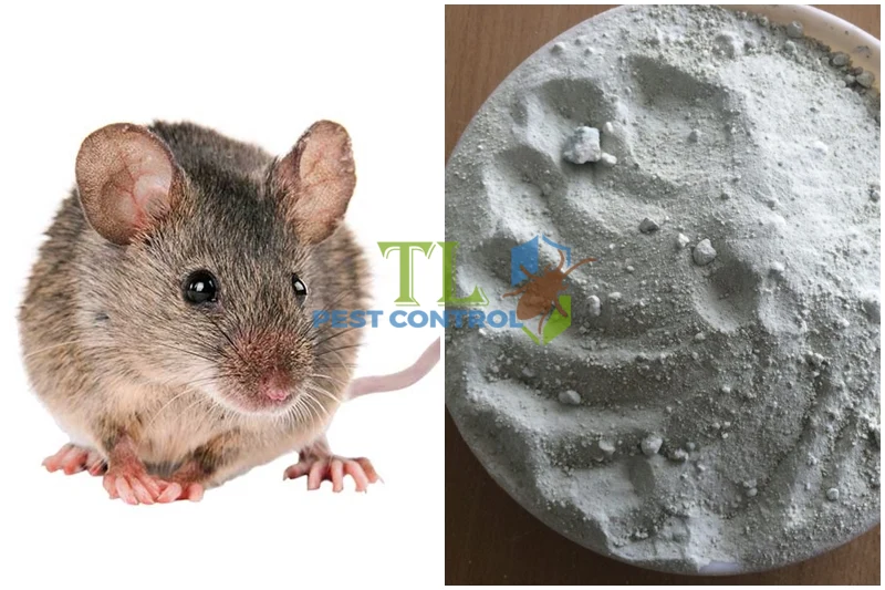 cách diệt chuột trong hang