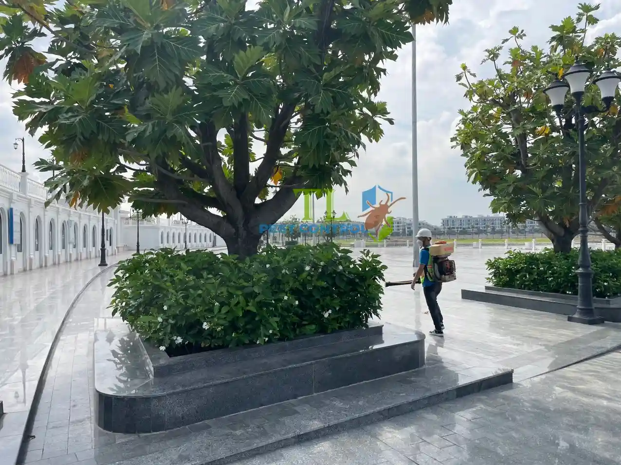 địa chỉ diệt mối uy tín