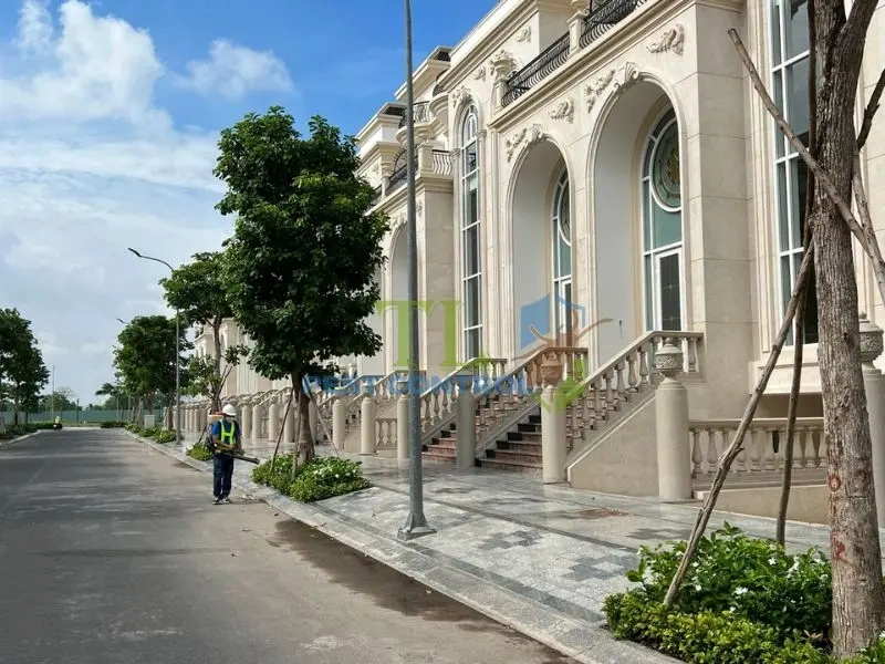 diệt mối tận gốc tại nhà
