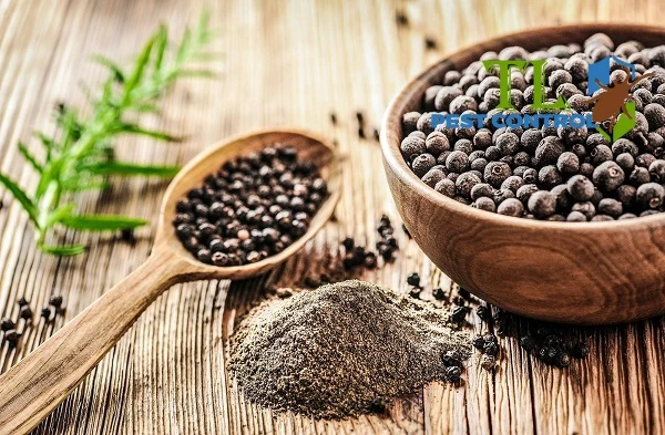 cách diệt kiến vàng nhỏ xíu