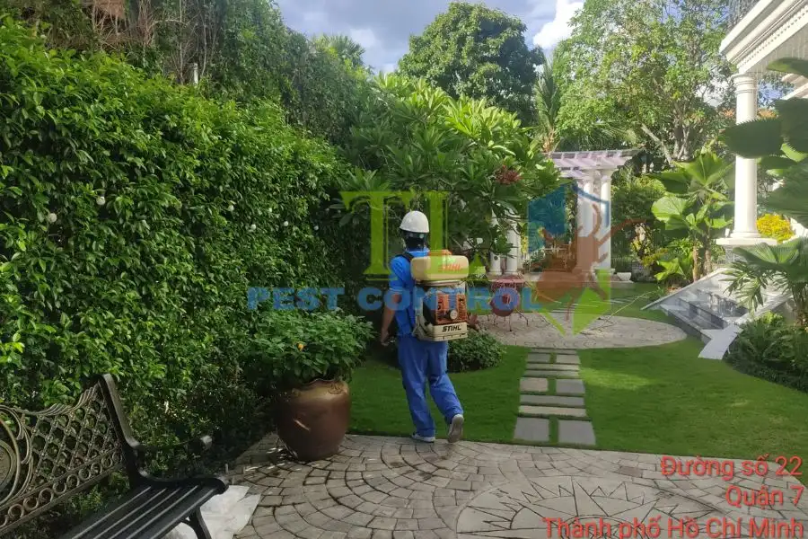 Dịch vụ diệt ong vò vẽ
