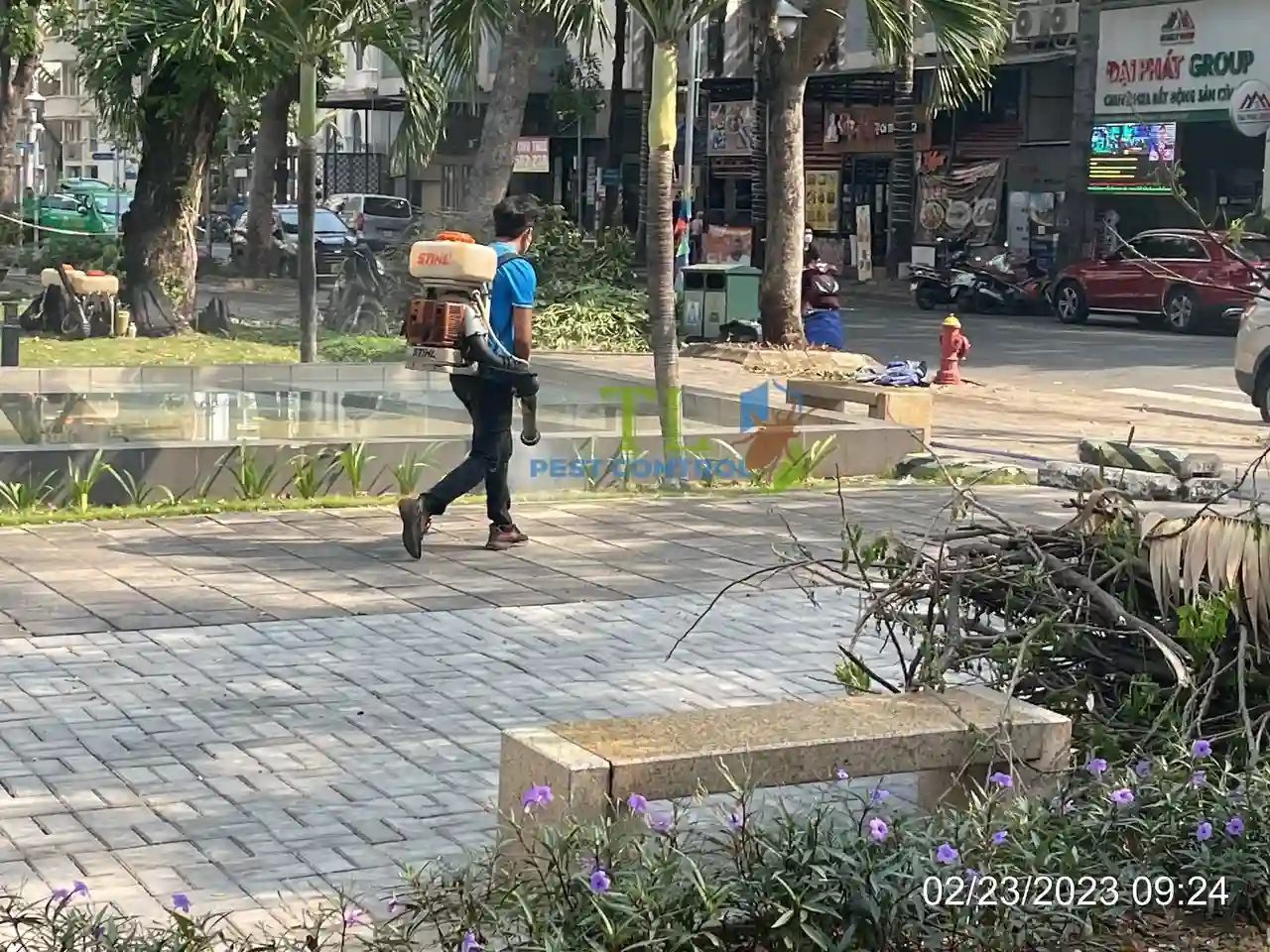 địa chỉ diệt mối uy tín