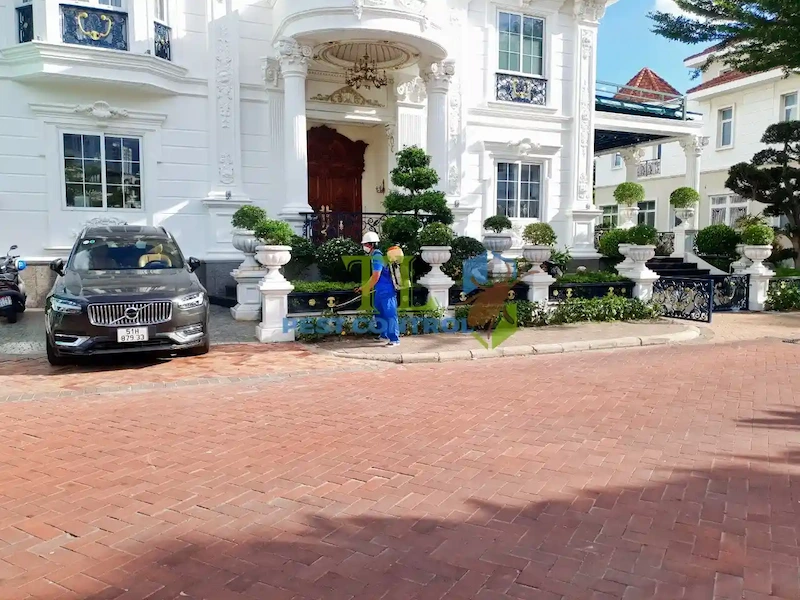 diệt mối quận 9