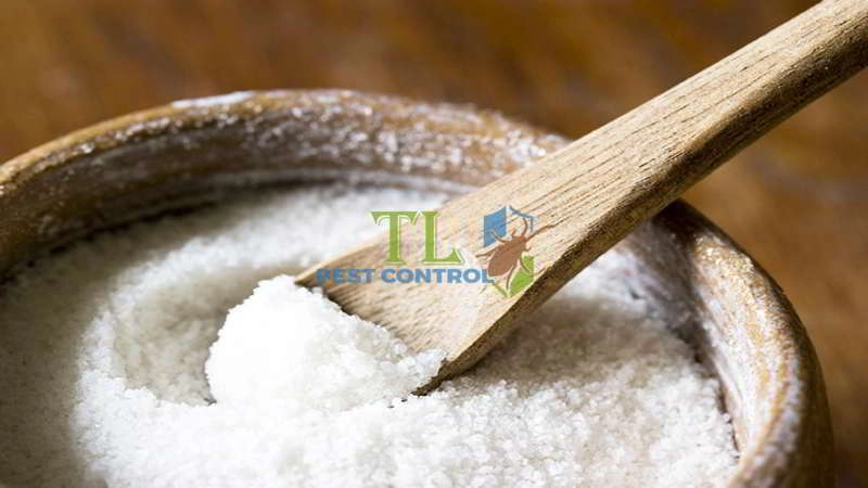 cách diệt bọ nhảy trên giường