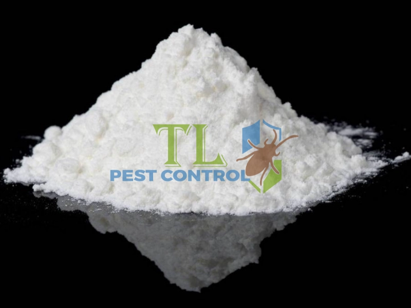cách diệt mối trong tường nhà