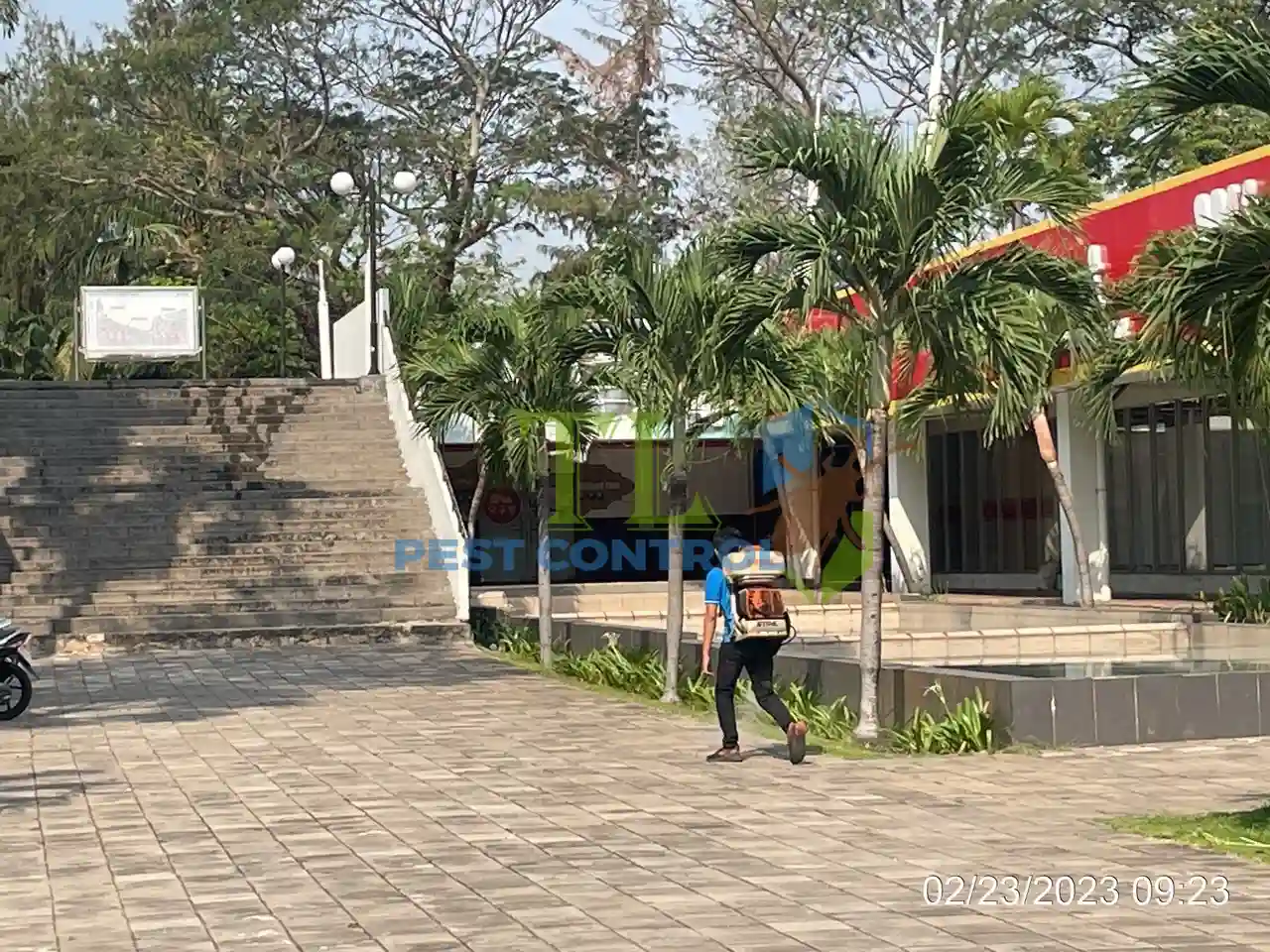 quy trình chống mối công trình xây dựng