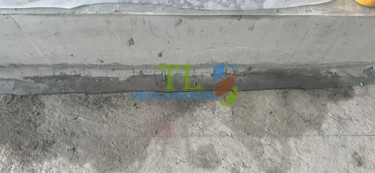 lưới thép không gỉ Termsteel