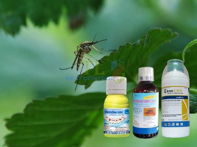 dịch vụ phun thuốc diệt muỗi
