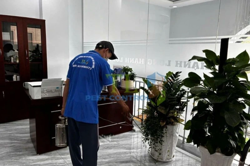 diệt kiến chung cư