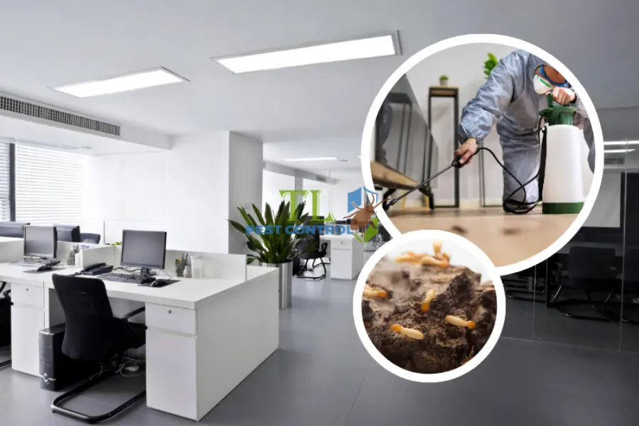 So Sánh Dịch Vụ Diệt Mối Nhà Ở & Văn Phòng: Chọn Gói Tối Ưu Nhất!