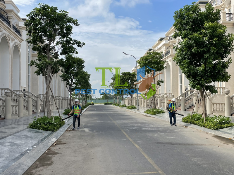 Dịch vụ diệt mối Trần Long tại phường Tân Mỹ uy tín, giá rẻ