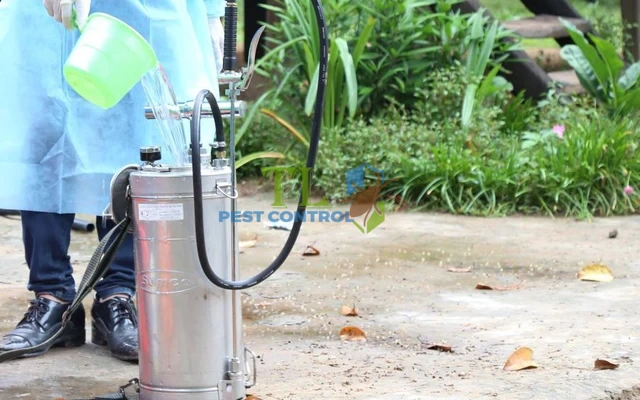 diệt muỗi cho công ty
