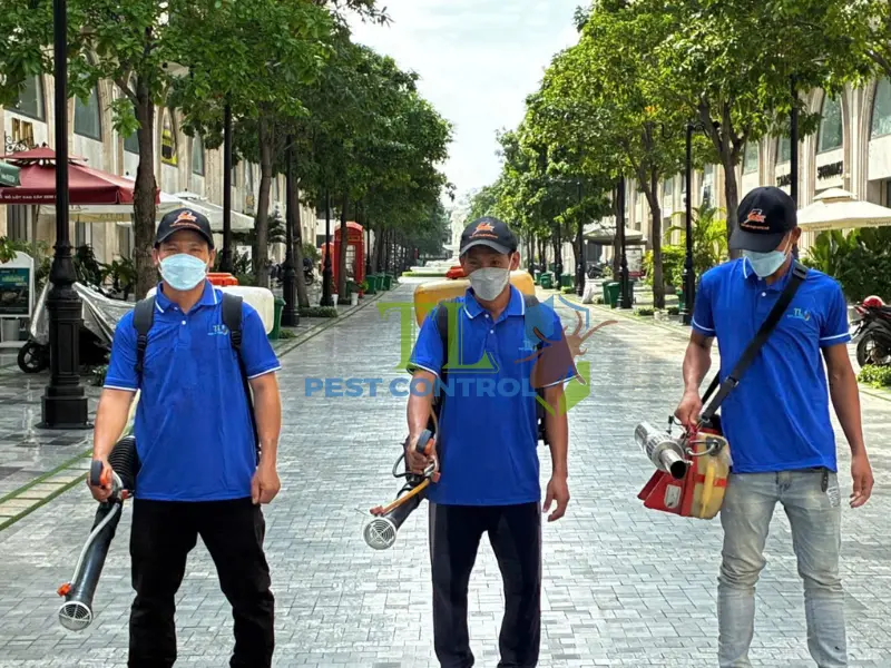 mẹo diệt ruồi trâu