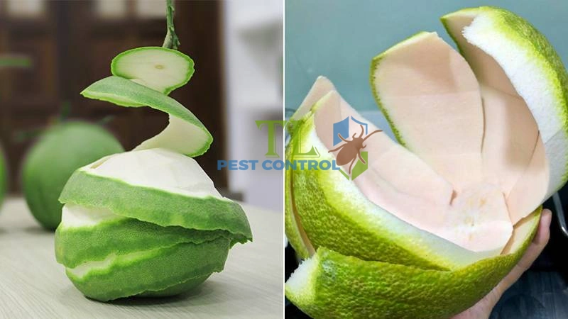 cách đuổi ruồi muỗi cho trâu bò