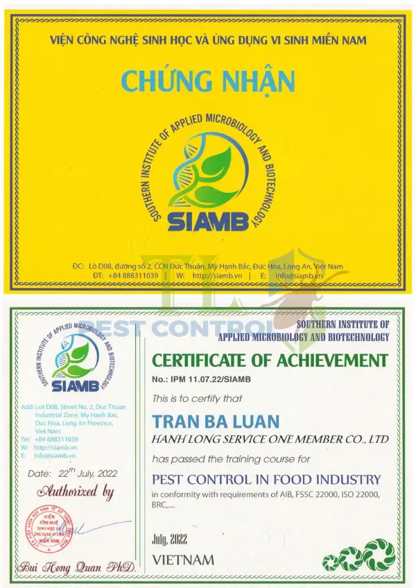 dịch vụ diệt gián