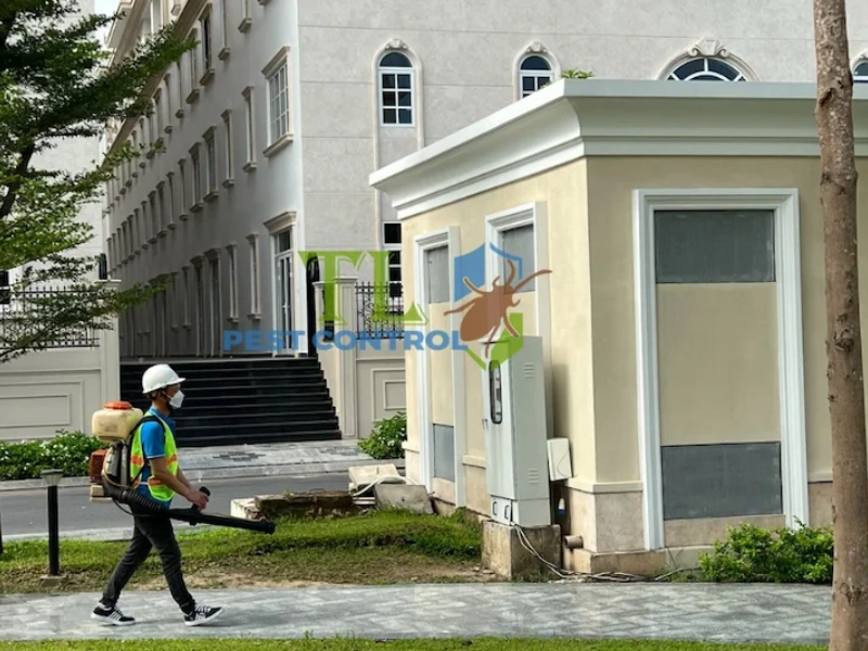 công ty diệt kiến