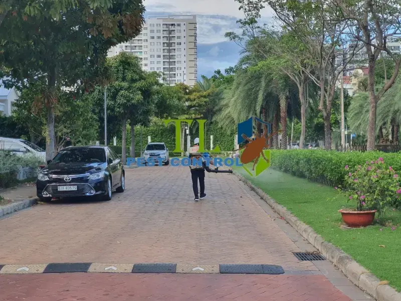 diệt mối tại huyện cần giờ