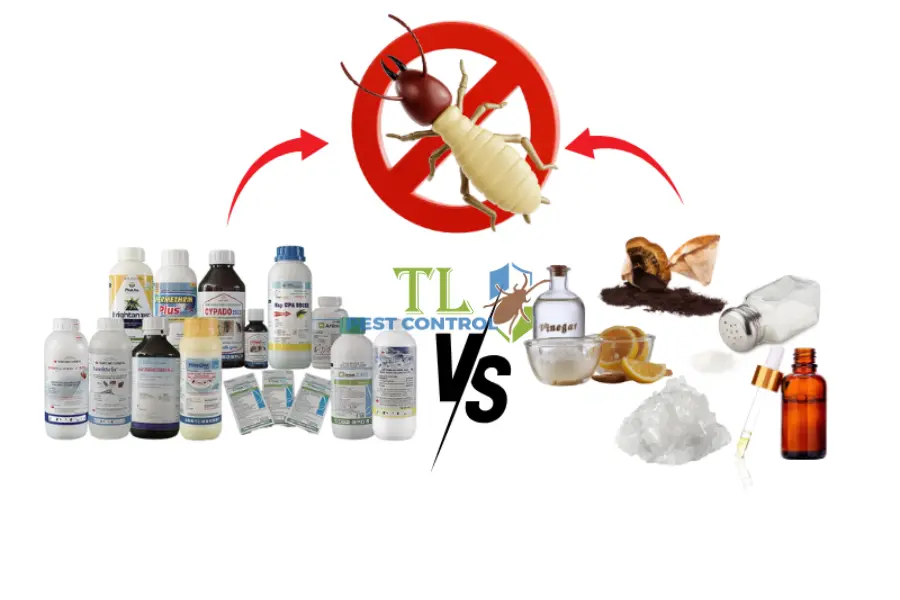 So Sánh Diệt Mối Tự Nhiên Và Hóa Học Chi Tiết & Lựa Chọn Tối Ưu
