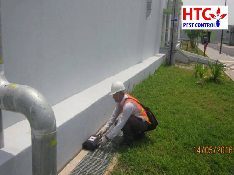 Diệt côn trùng Hùng Thịnh